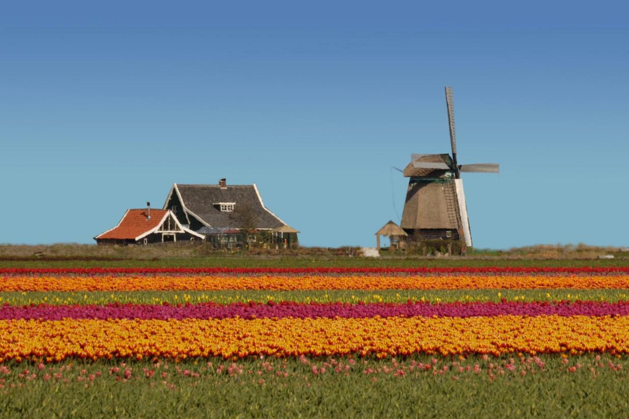 Het Dobbertje, Charmant Houten Huisje Sint Maartensvlotbrug Экстерьер фото